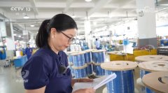 核心 突围拓展多元市场中国外贸企业“两 核心 突围拓展多元市场中国外贸企业“两