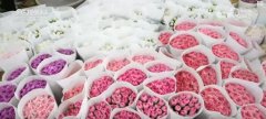 “鲜花经济”终身花!我国花草海外商业 “鲜花经济”终身花!我国花草海外商业